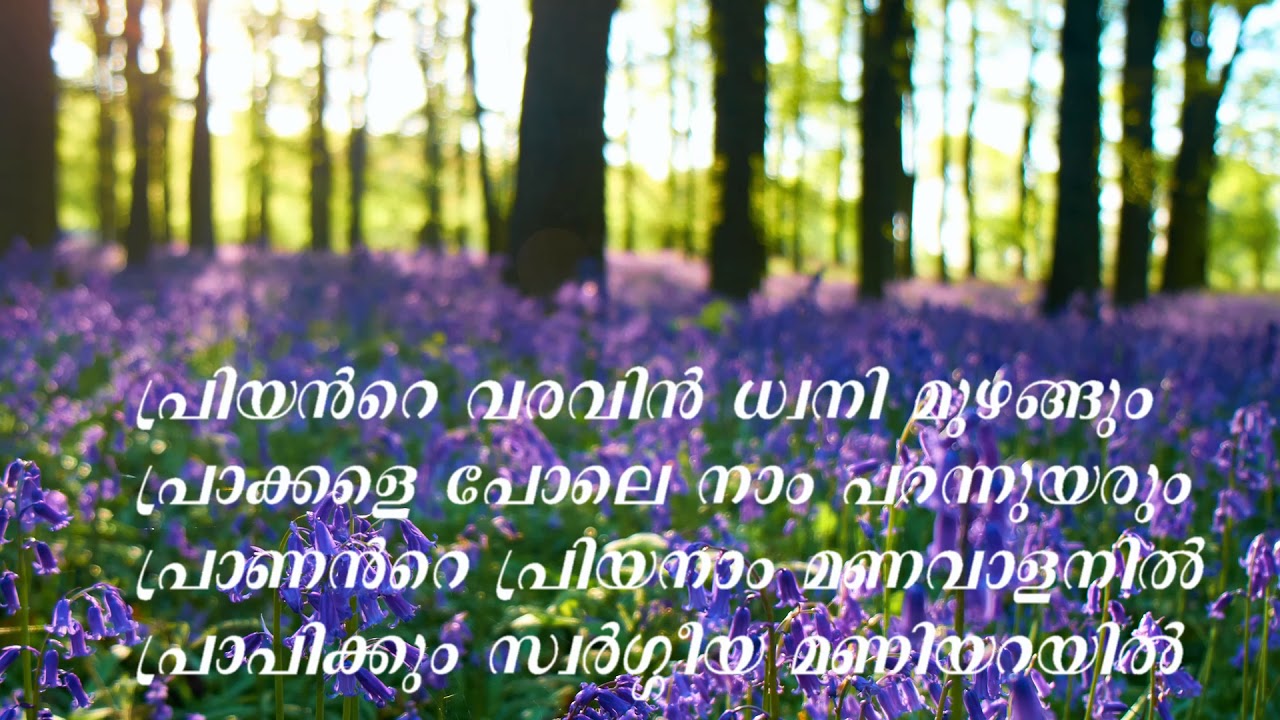 Kashtangal Saramilla With Lyrics I KESTER I Malayalam Christian Song