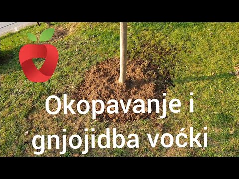 Video: Gnojidba stabala jabuka u vrtu: saznajte više o gnojivu za jabuke