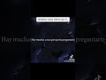 Mis sentimientos en una canción..