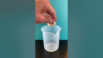 Perform a  TEST🧪 || IODINE STARCH Test microbiologist🧑‍🔬 #microbiology #test #medical