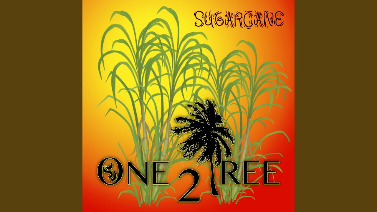Watch Sugarcane on YouTube Watch Sugarcane on YouTube
