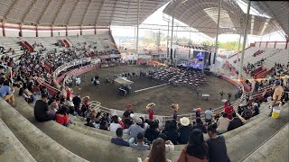 MARTINEZ JARIPEO TV está realizando una transmisión en vivo