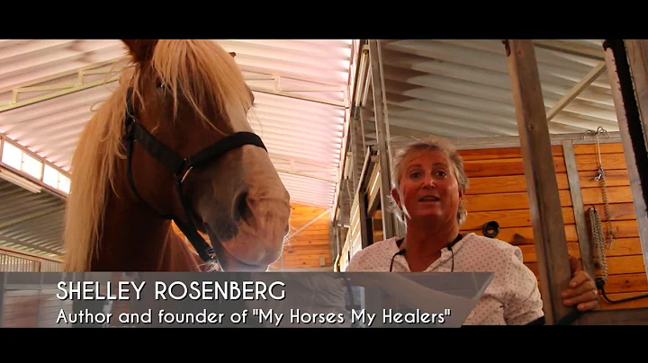 Interview Shelley Rosenberg - Sans Attache / Freed...