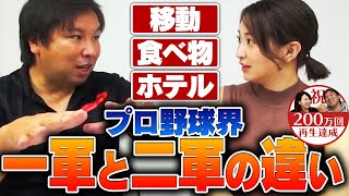 【衝撃】プロ野球の一軍と二軍にはこんなにも差があった。