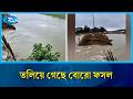 বাঁধ ভেঙে কয়েকশত একর পানির নিচে বোরো ধান | agriculture loss | Rtv News
