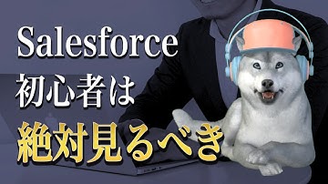 【Salesforce導入に悩む経営者必見】Salesforceについて、何も知らない人の質問に１つ１つ答えました。