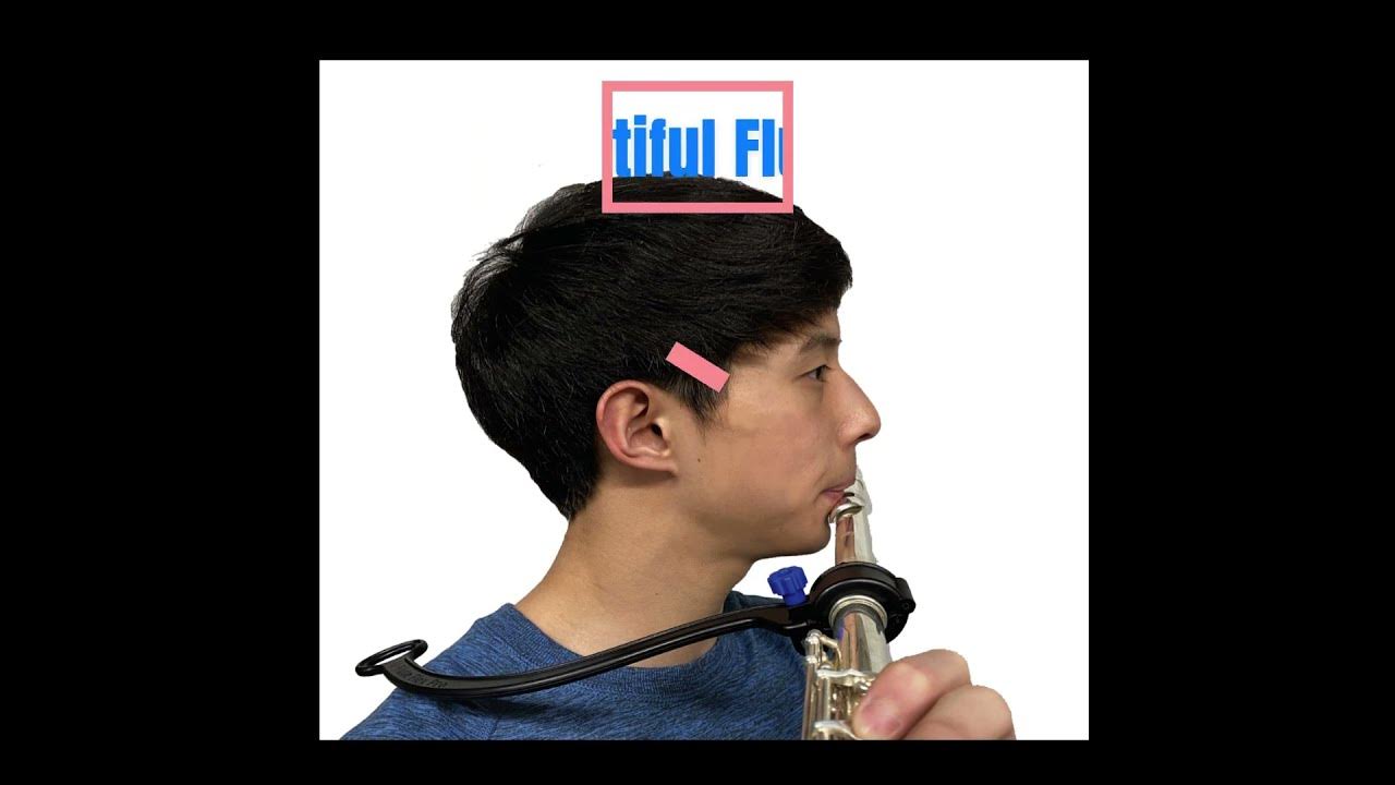 Flute Flex Po : Musical Instuments
