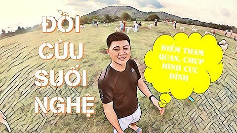 ĐỒI CỪU SUỐI NGHỆ!