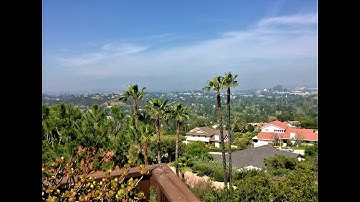 Brian Wilson - Bare Naked Ladies - Cover