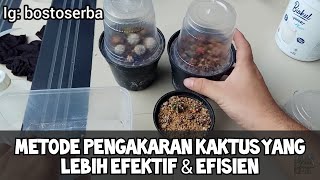 UPDATE CARA MENGAKARKAN KAKTUS YANG LEBIH EFEKTIF DAN EFISIEN.