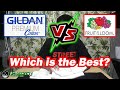 WHICH BEST? GILDAN PREMIUM VS. FRUIT OF THE LOOM | SCREEN PRINTING | T-SHIRT PRINTING | SCREEN LIFE