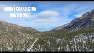 Mount Charleston winter 2016