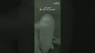 حالات واتساب حزينه مكتوبات عبارات حزينه عن الالم