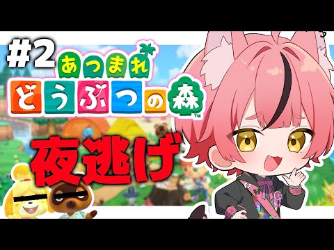 なぅた - YouTube