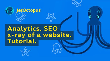 📈 Elevate Your SEO Strategy with JetOctopus Crawl Report Analytics