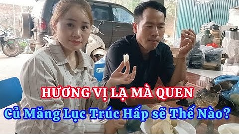 Hương vị lạ mà quen của củ măng lục trúc hấp, bạn đã thử chưa?|cây giống măng lục trúc