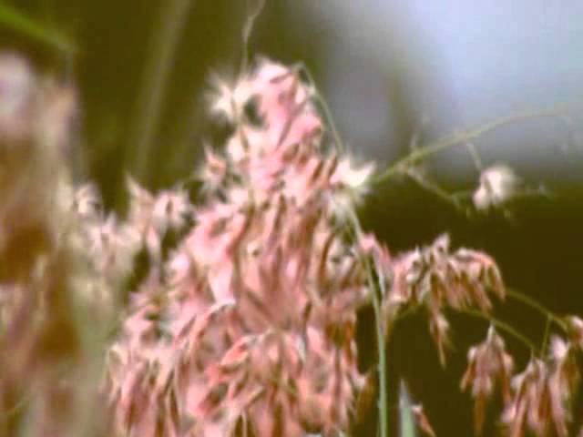 在 YouTube 上观看 Hot Like Fire - The XX 在 YouTube 上观看 Hot Like Fire - The XX