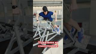 Правильная техника выполнения на мышцы спины в фитнес зале. #мышцы #фитнес #какнакачаться