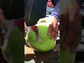 Crazy speed fresh coconut cutting skill shorts coconut streetfood explore viral fresh fyp
