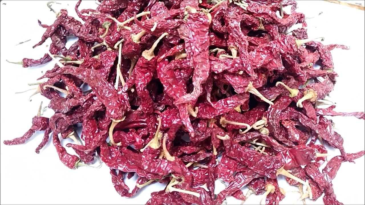 Dry Chili Lab report of Syngenta 2043 variety