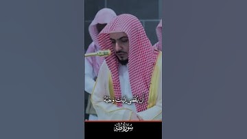 تلاوة رائعة بأداء بديع لفضيلة الشيخ د. الوليد الشمسان من صلاة الفجر 27 صفر 1447ه‍. لإمام الحرم المكي