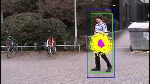 Video Tracking with an Adaptive Particle Filter (Person 2)