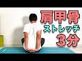 【肩甲骨が硬い方向け!ストレッチ】3分!