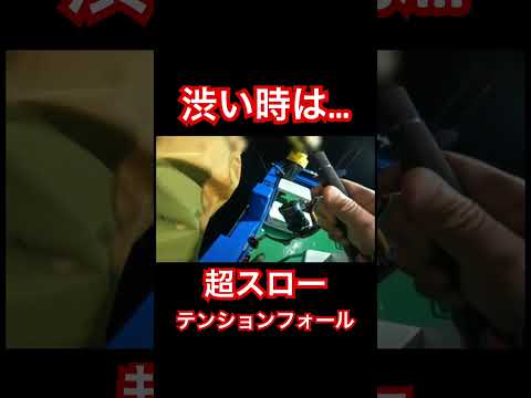 【渋い時は…】#イカ #イカメタル #船 #釣り #shortvideo #shorts #short #fishing #fish #squidgame #イカメタルマイスター
