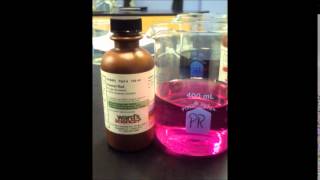 HARMONY STEM PBL - Dry Ice Bubbles