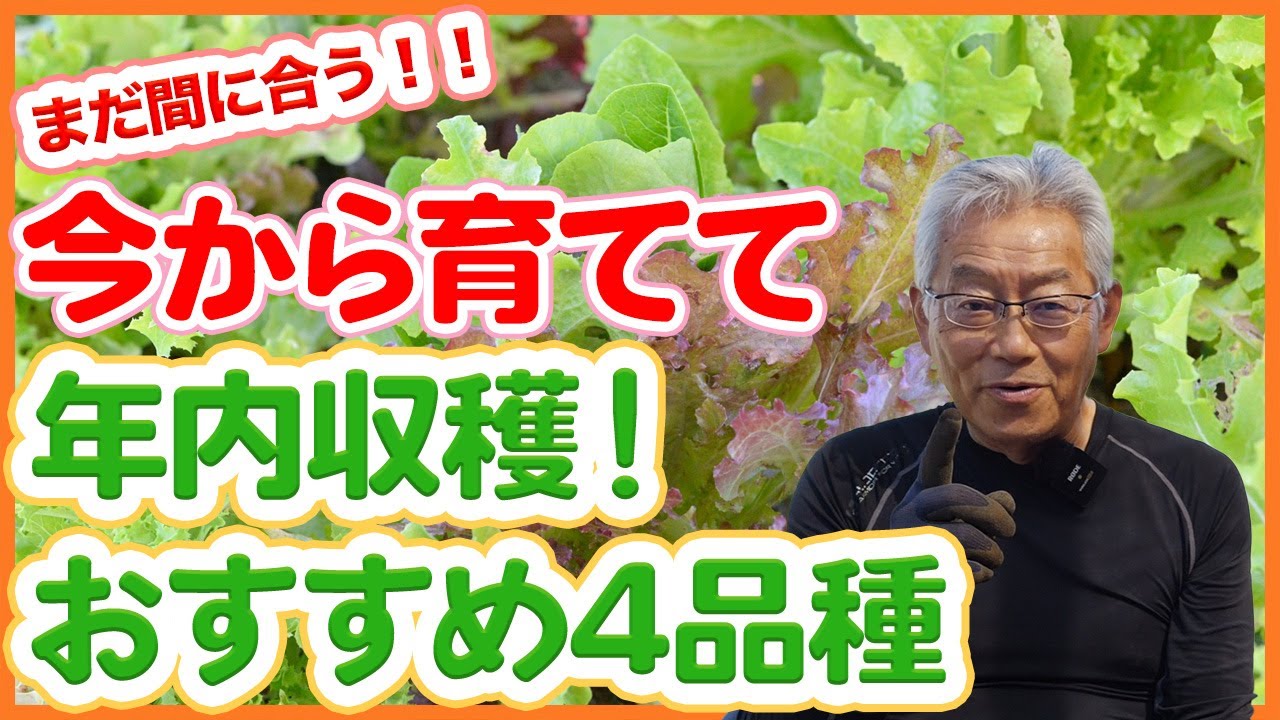 You can still start growing them in your home garden or farm just