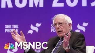 Past Gun Votes Could Be Political Liability For Bernie Sanders | Morning Joe | MSNBC