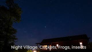 Night Ambience, crickets, frogs, insects