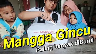 MANGGA SPESIAL GEDONG GINCU SUPER HARUM MANIS KHAS INDRAMAYU | Makan Seru Eps.13