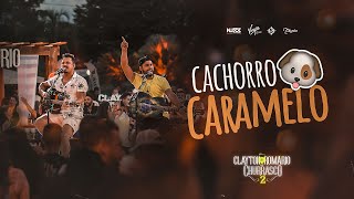 Video thumbnail of "Clayton & Romário - Cachorro Caramelo (DVD no Churrasco 2)"