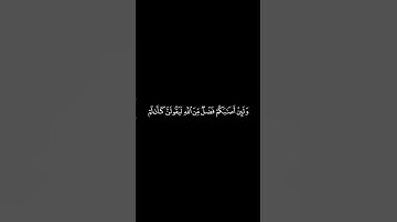 #القران_الكريم #سوره_النساء #ياسرالدوسري #كرومات الآيات 72 _ 73