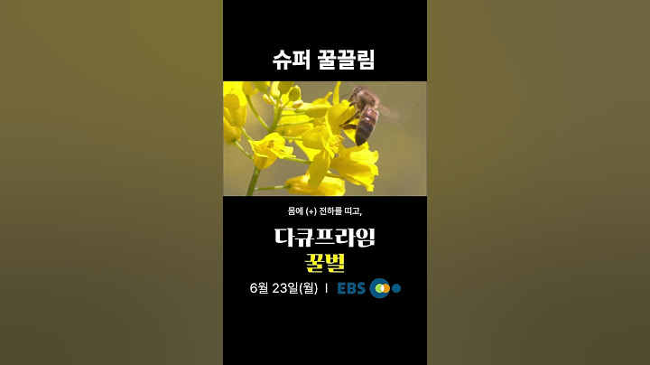 슈퍼 꿀 끌림｜#다큐프라임 꿀벌｜6월 23일(월) 첫방송