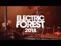 Galantis at Electric Forest 2018 - An #EF2018 Moment Whatsapp Status Video Download Free