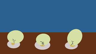 Egg cracking animation