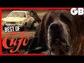 Best of: CUJO