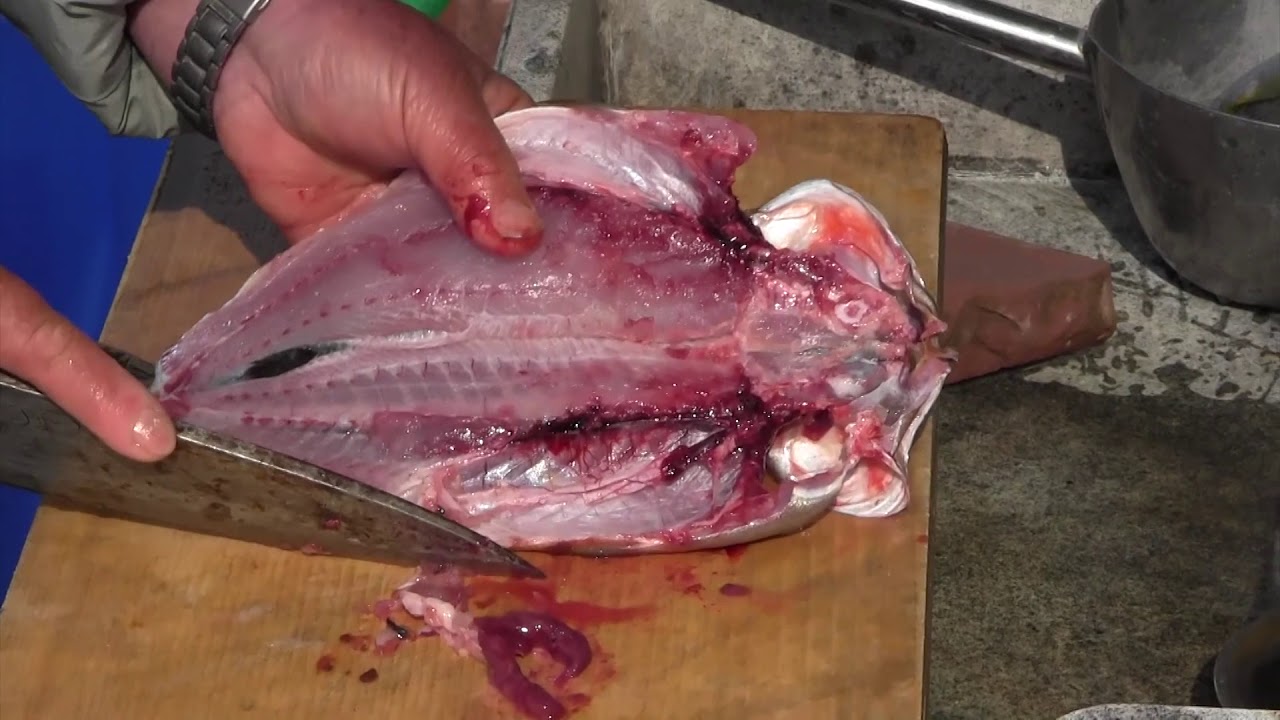 干物の作り方 根付きのイサギ釣りなら嘉福丸