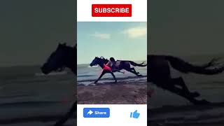 Amazing horse stunts by small girl #shorts