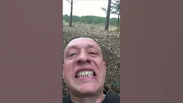 Медведь ест муравьев. Вадим Старов муравьиная кислота, цитраль. Набор энергии целительство, здоровье