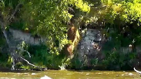 Grazer pushes 83 over the edge! Explore org 29 June 2021