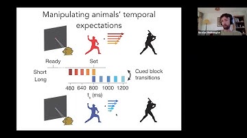 NeuroMeetup February 2022: Predictive Coding