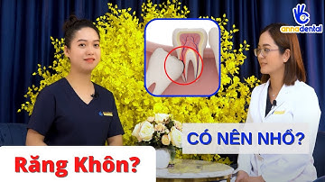 Răng Khôn là gì? Răng Khôn có nên nhổ không??? Giái Đáp từ Bác Sĩ Nha Khoa
