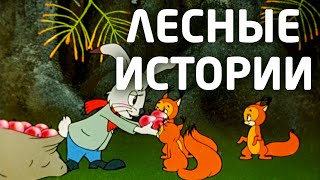 "Лесная история" Советский мультфильм.