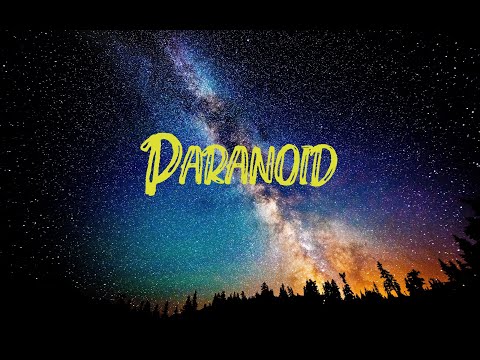 DC The Don Paranoid Lyrics Video 