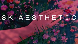 ８Ｋ Ａｎｉｍｅ Ａｅｓｔｈｅｔｉｃ Edit