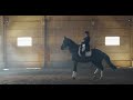 Cinematic Horse Riding Club Commercial | Brand Storytelling Concept
