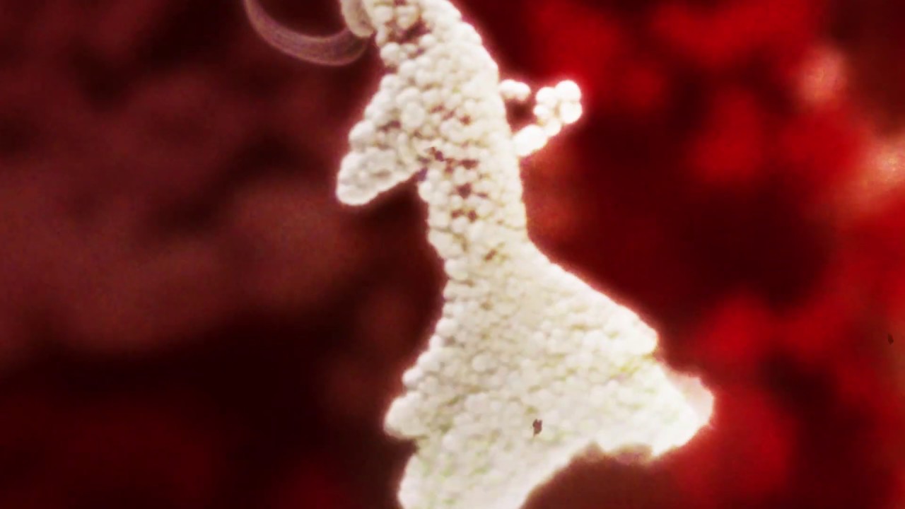 Watch Kai Whiston & EDEN - Stingray (Official Video) on YouTube Watch Kai Whiston & EDEN - Stingray (Official Video) on YouTube